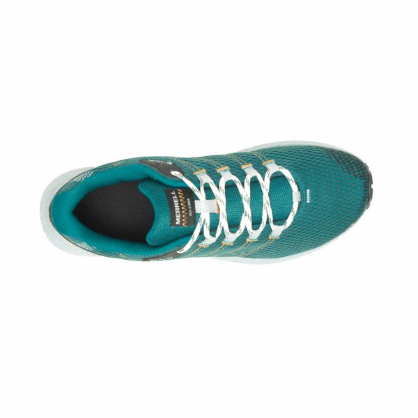 Fly Strike-Seamoss/Lake Mens Trail Running Shoes